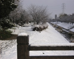 Snow_Bridge